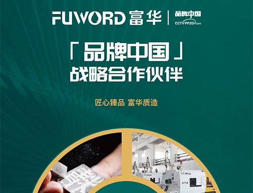 高端定制型網站案例