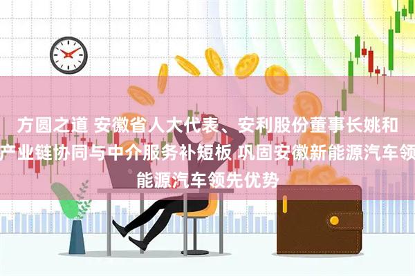 方圆之道 安徽省人大代表、安利股份董事长姚和平：以产业链协同与中介服务补短板 巩固安徽新能源汽车领先优势